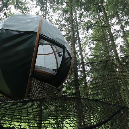 Insolite Dans Les Arbres Les Ormes, Epiniac Bed & Breakfast Dış mekan fotoğraf