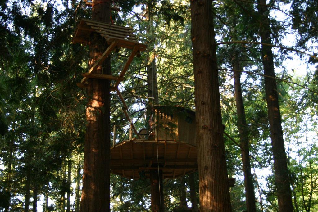 Insolite Dans Les Arbres Les Ormes, Epiniac Bed & Breakfast Dış mekan fotoğraf