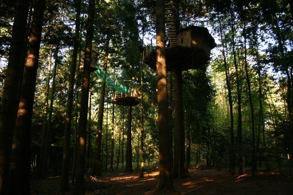 Insolite Dans Les Arbres Les Ormes, Epiniac Bed & Breakfast Dış mekan fotoğraf