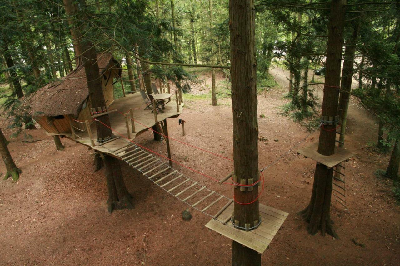 Insolite Dans Les Arbres Les Ormes, Epiniac Bed & Breakfast Dış mekan fotoğraf