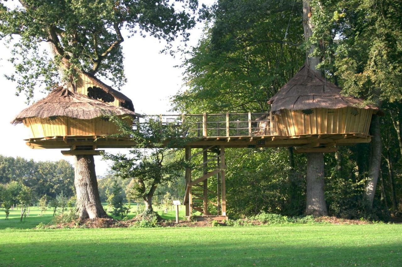 Insolite Dans Les Arbres Les Ormes, Epiniac Bed & Breakfast Dış mekan fotoğraf