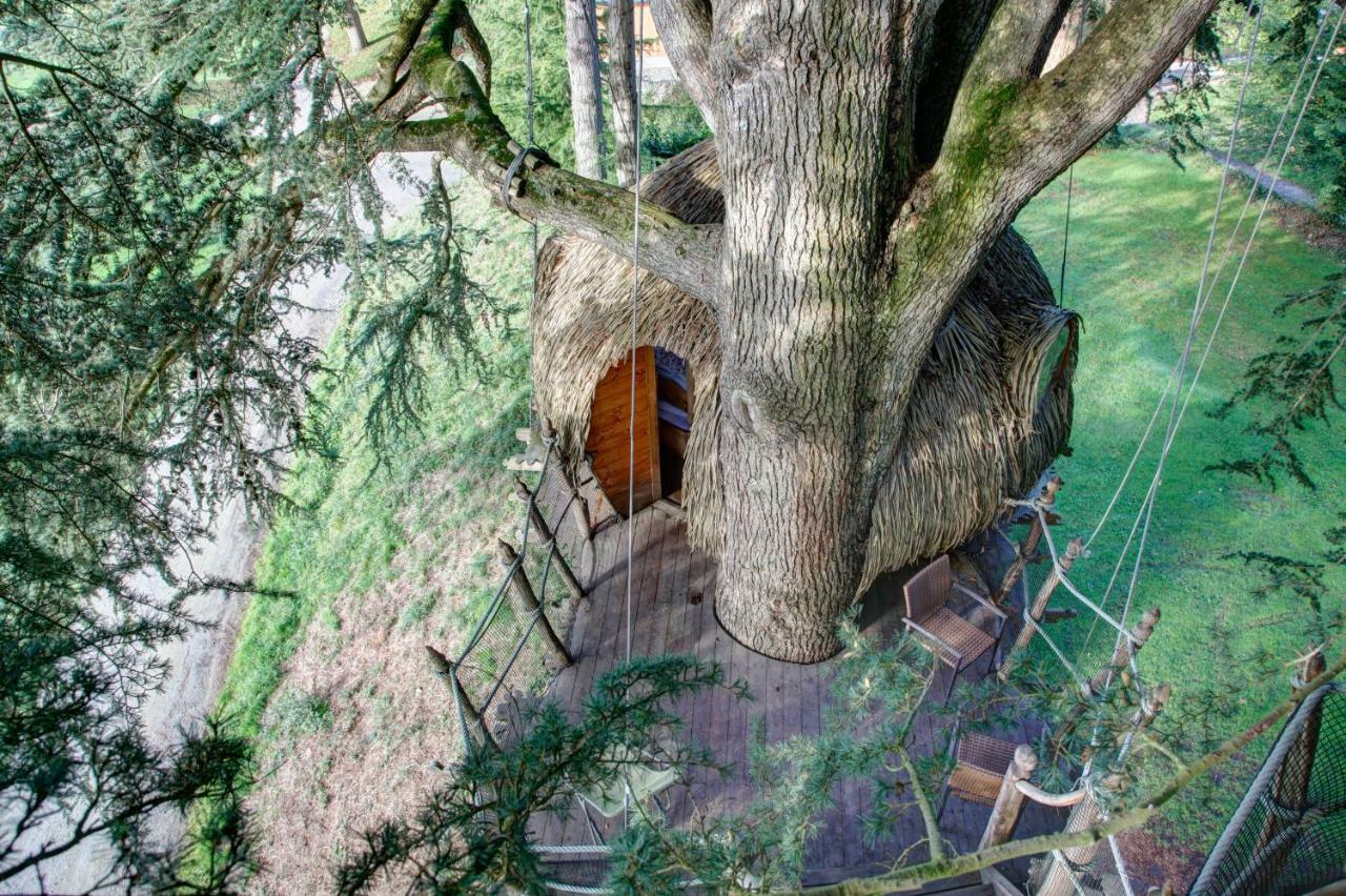 Insolite Dans Les Arbres Les Ormes, Epiniac Bed & Breakfast Dış mekan fotoğraf